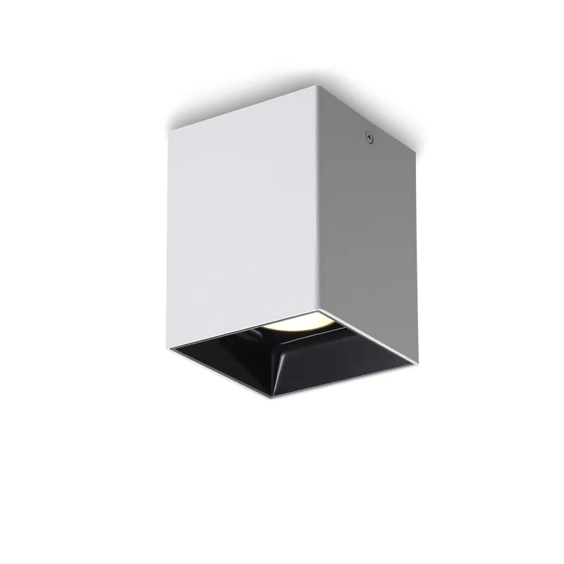 Ceiling Surface Mounted Downlights